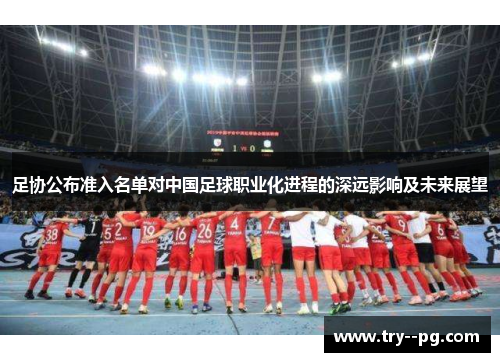 足协公布准入名单对中国足球职业化进程的深远影响及未来展望