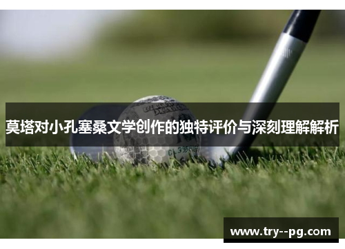 莫塔对小孔塞桑文学创作的独特评价与深刻理解解析