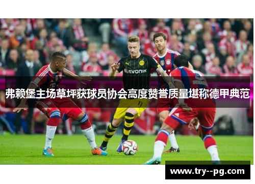 弗赖堡主场草坪获球员协会高度赞誉质量堪称德甲典范